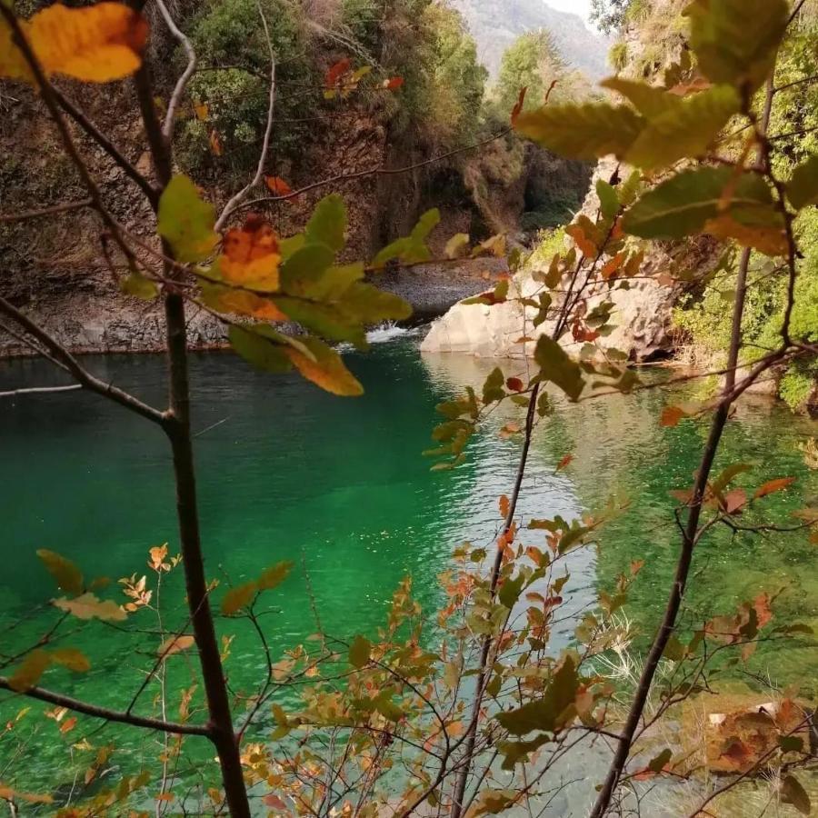 Refugio Del Salto -Radal 7 Tazas Villa Молина Екстериор снимка