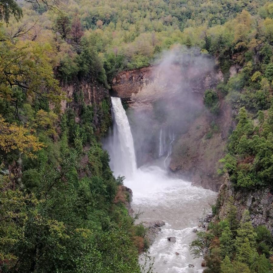 Refugio Del Salto -Radal 7 Tazas Villa Молина Екстериор снимка