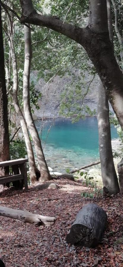 Refugio Del Salto -Radal 7 Tazas Villa Молина Екстериор снимка