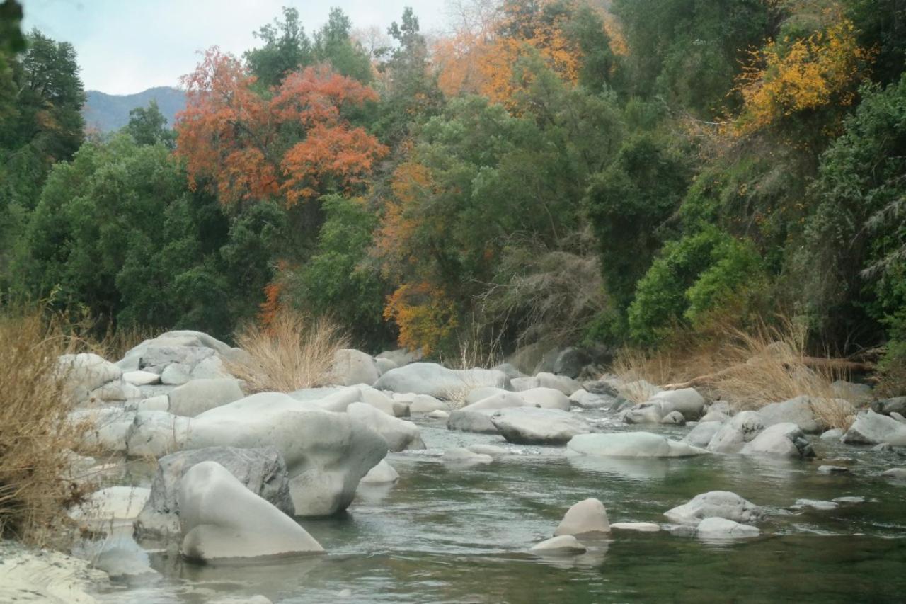 Refugio Del Salto -Radal 7 Tazas Villa Молина Екстериор снимка