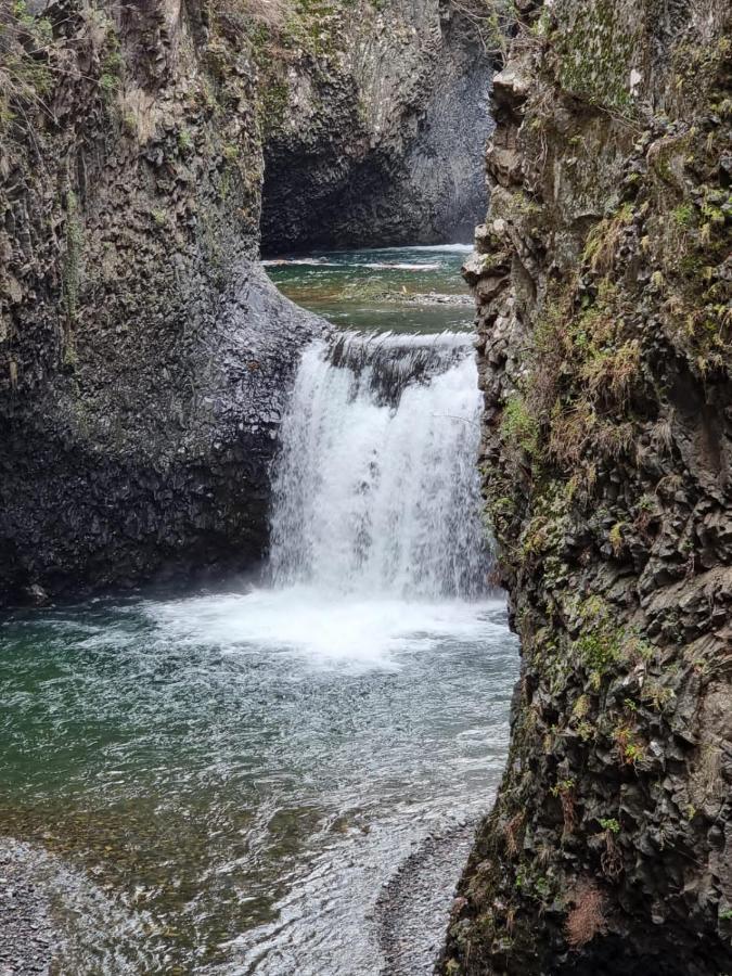 Refugio Del Salto -Radal 7 Tazas Villa Молина Екстериор снимка